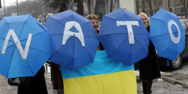 В НАТО потребовали доказательств «российской агрессии» на Украине