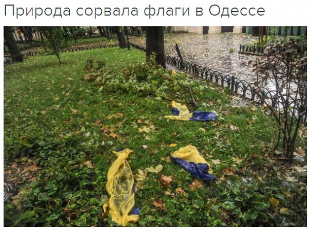 "Мыздобулы" в картинках. Смешных и не очень... 15-10-2016