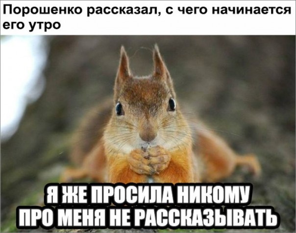 "Мыздобулы" в картинках. Смешных и не очень... 15-10-2016