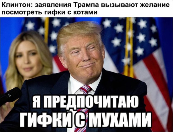 "Мыздобулы" в картинках. Смешных и не очень... 15-10-2016