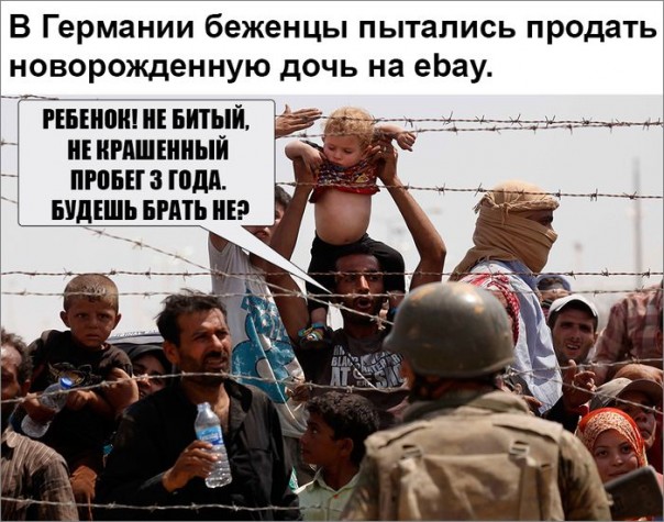 "Мыздобулы" в картинках. Смешных и не очень... 15-10-2016