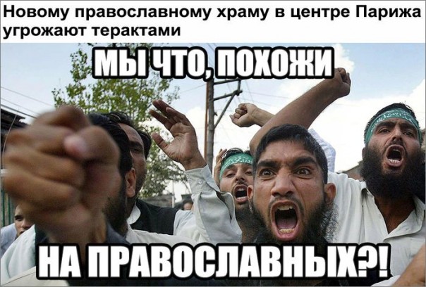 "Мыздобулы" в картинках. Смешных и не очень... 15-10-2016