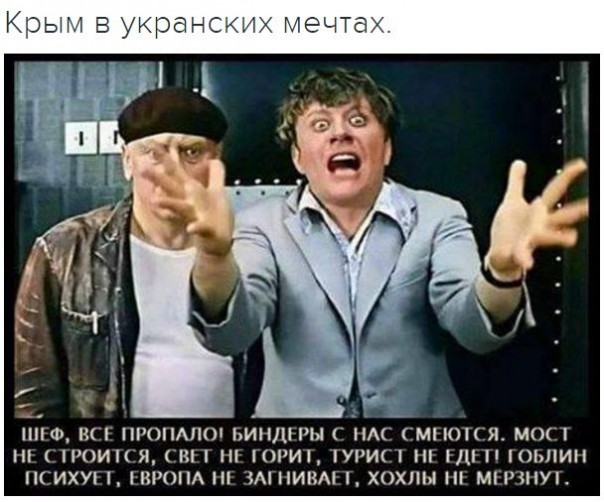 "Мыздобулы" в картинках. Смешных и не очень... 20-10-2016