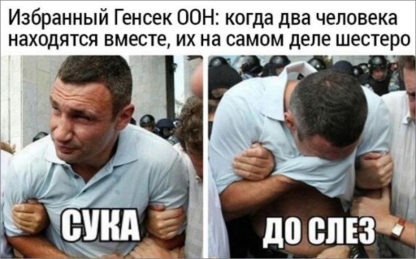 "Мыздобулы" в картинках. Смешных и не очень... 20-10-2016