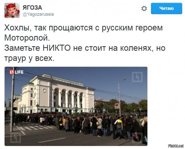 "Мыздобулы" в картинках. Смешных и не очень... 20-10-2016