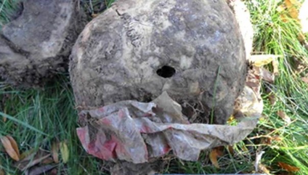 В Луганской области нашли захоронение убитых мужчин со следами пыток