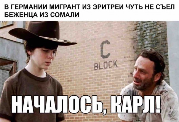 "Мыздобулы" в картинках. Смешных и не очень... 21-10-2016