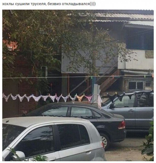 "Мыздобулы" в картинках. Смешных и не очень... 21-10-2016