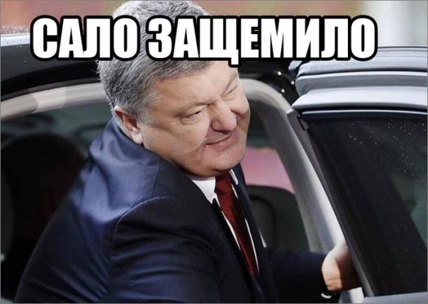 "Мыздобулы" в картинках. Смешных и не очень... 21-10-2016