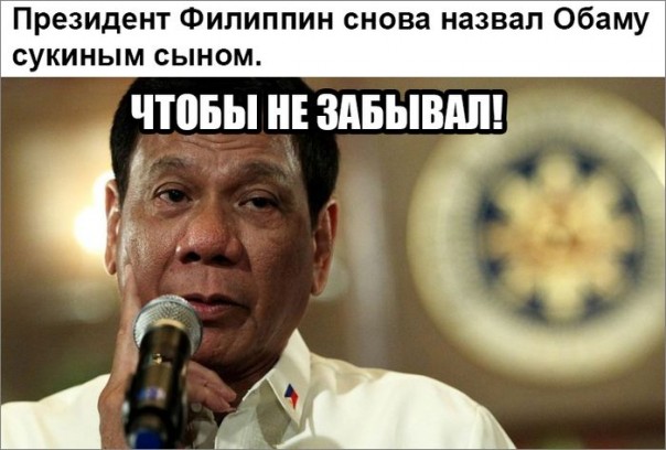 "Мыздобулы" в картинках. Смешных и не очень... 21-10-2016