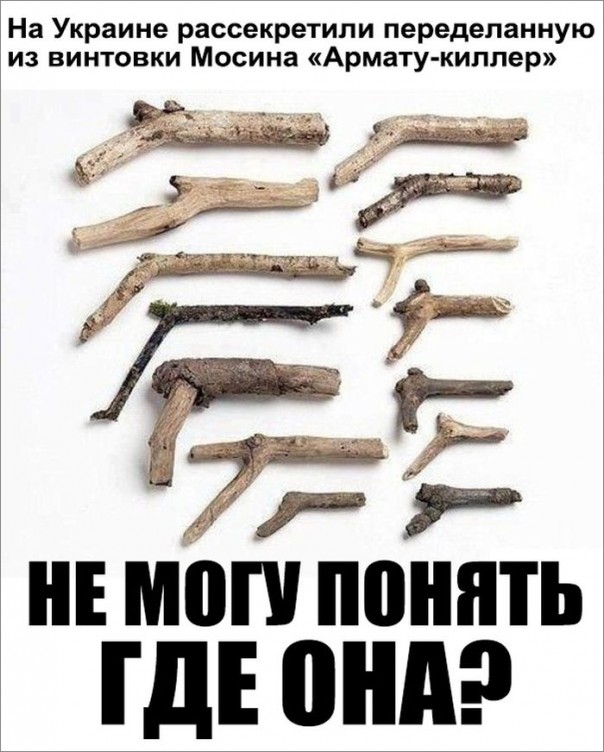 "Мыздобулы" в картинках. Смешных и не очень... 24-10-2016