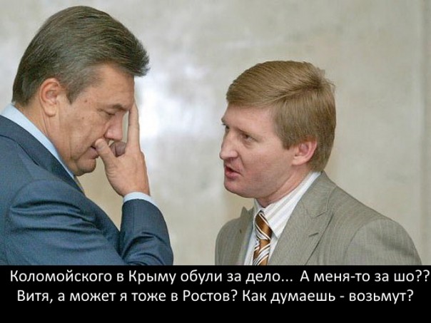 "Мыздобулы" в картинках. Смешных и не очень... 25-10-2016
