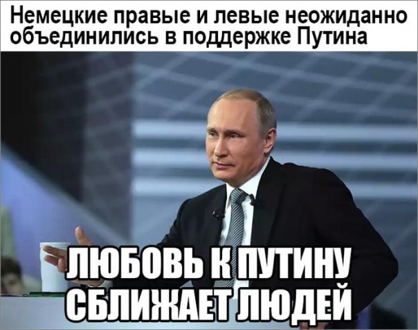 "Мыздобулы" в картинках. Смешных и не очень... 26-10-2016