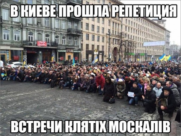 "Мыздобулы" в картинках. Смешных и не очень... 26-10-2016