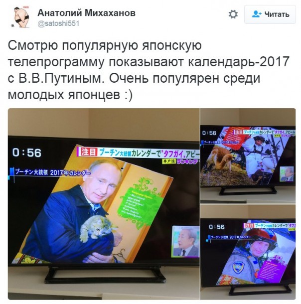 "Мыздобулы" в картинках. Смешных и не очень... 26-10-2016