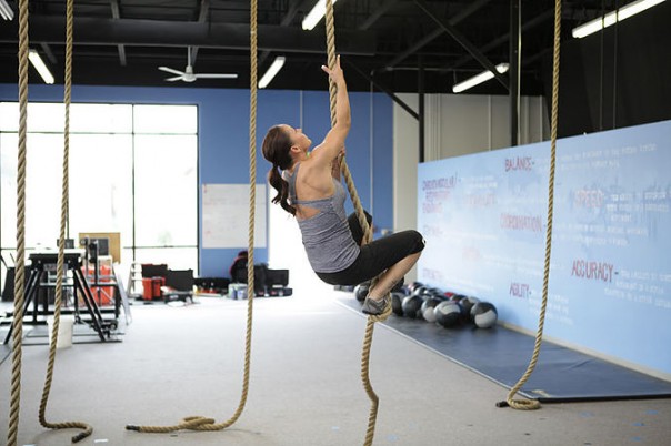 Абсурдные новости. 27 октября 2016 года Абсурдные новости. 27 октября 2016 года