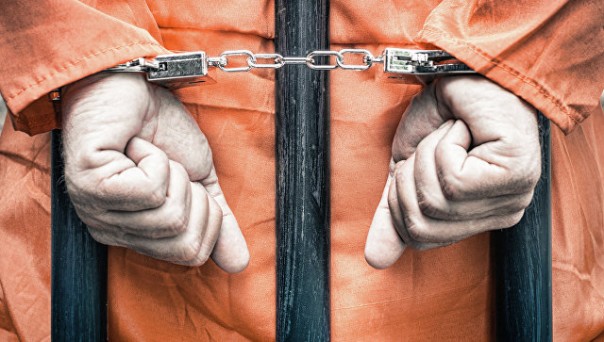 "Лебедь", "сова" и "дельфин": как живут в самых строгих тюрьмах России