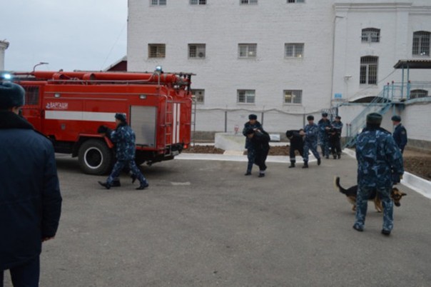 "Лебедь", "сова" и "дельфин": как живут в самых строгих тюрьмах России "Лебедь", "сова" и "дельфин": как живут в самых строгих тюрьмах России