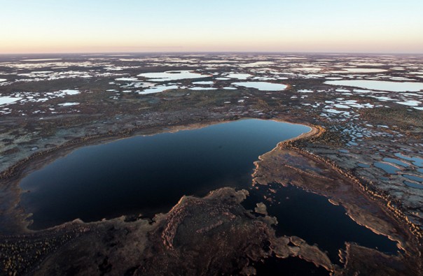 "Лебедь", "сова" и "дельфин": как живут в самых строгих тюрьмах России "Лебедь", "сова" и "дельфин": как живут в самых строгих тюрьмах России