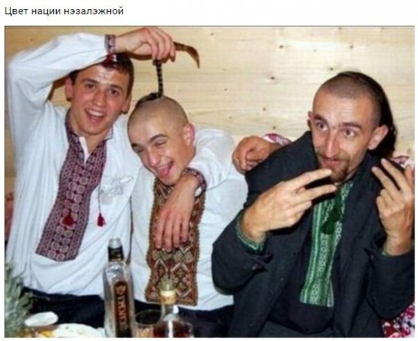 "Мыздобулы" в картинках. Смешных и не очень... 28-10-2016