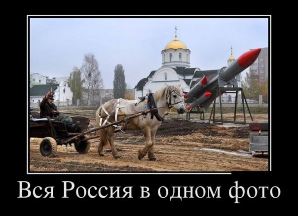 "Мыздобулы" в картинках. Смешных и не очень... 28-10-2016