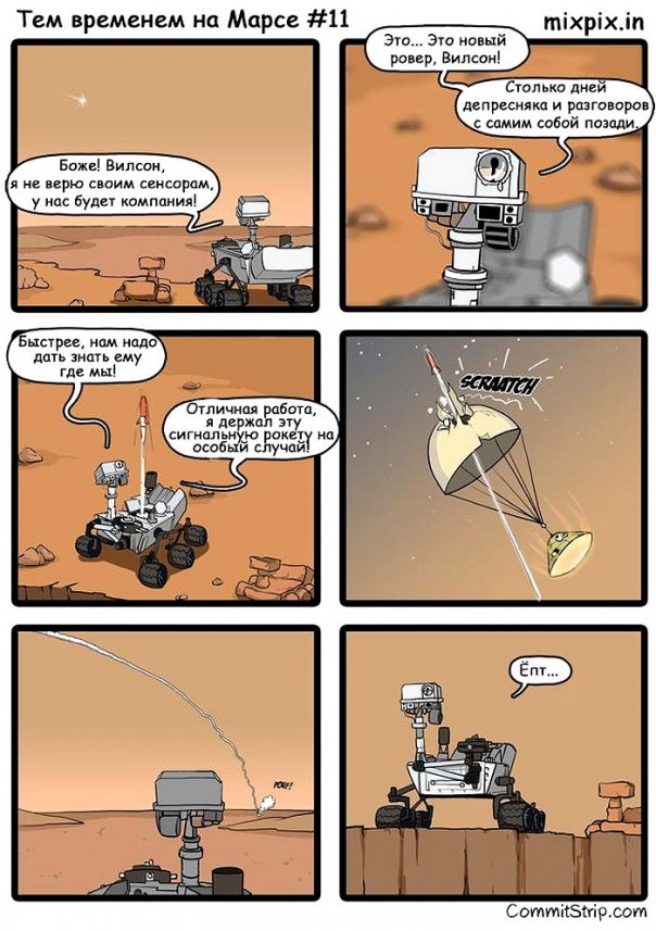 "Мыздобулы" в картинках. Смешных и не очень... 28-10-2016