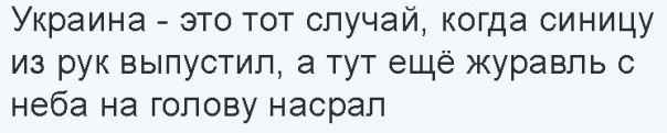 "Мыздобулы" в картинках. Смешных и не очень... 28-10-2016