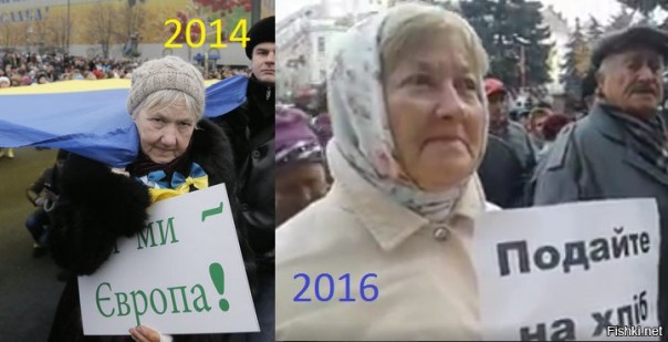 "Мыздобулы" в картинках. Смешных и не очень... 28-10-2016