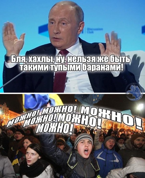 "Мыздобулы" в картинках. Смешных и не очень... 29-10-2016