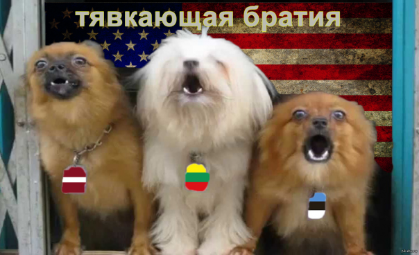 Верить ли этому?