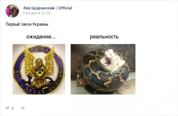 "Мыздобулы" в картинках. Смешных и не очень... 31-10-2016