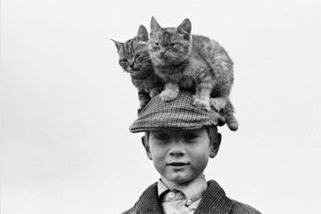 Коты "доинтернетного" периода