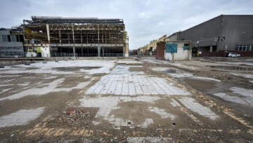 Фото дня. "Нам понятно всё без слов..." - 4