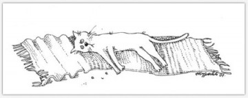 "Правила кошек"  Маргариты Журавлевой