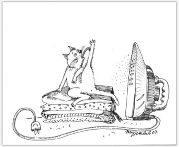 "Правила кошек"  Маргариты Журавлевой