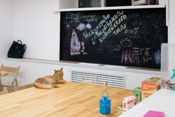 В Самаре открылась котейня с котами навынос