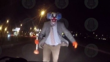 Питерского клоуна с вантузом казаки отловят и пристроят на конюшню
