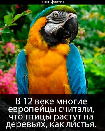 Интересные факты