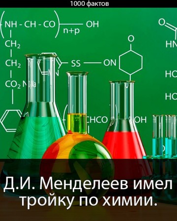 Интересные факты