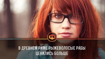 Интересные факты