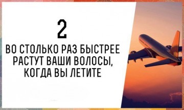 Интересные факты