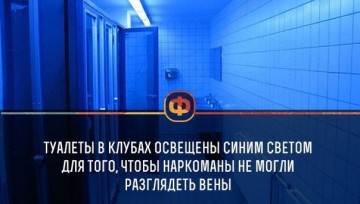 Интересные факты