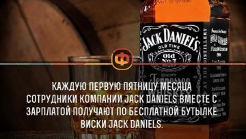 Интересные факты