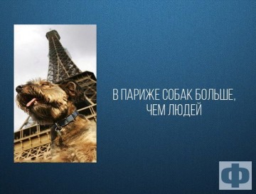 Интересные факты