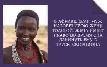 Интересные факты