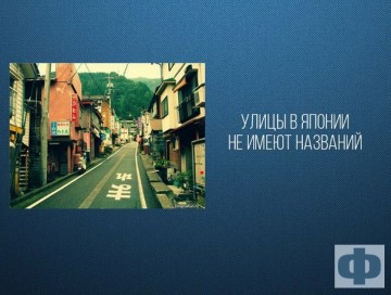 Интересные факты