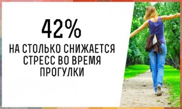 Интересные факты