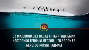 Интересные факты