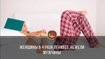 Интересные факты