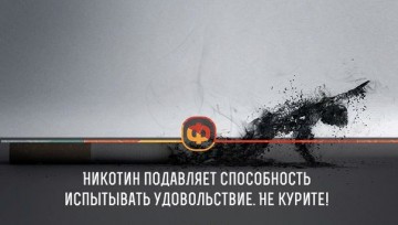 Интересные факты